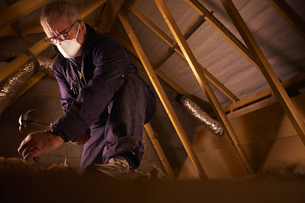 Best Insulation Inspection Services  in Wellington, TX